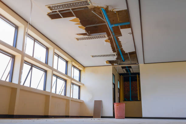 Best Fire Damage Restoration  in Christiansburg, VA