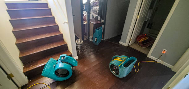 Best Water damage contractors near me  in Christiansburg, VA