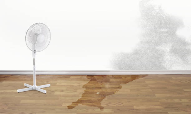Best Professional water damage repair  in Christiansburg, VA