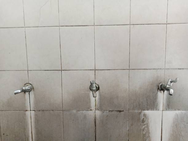 Best Sewage cleanup and water damage restoration  in Christiansburg, VA