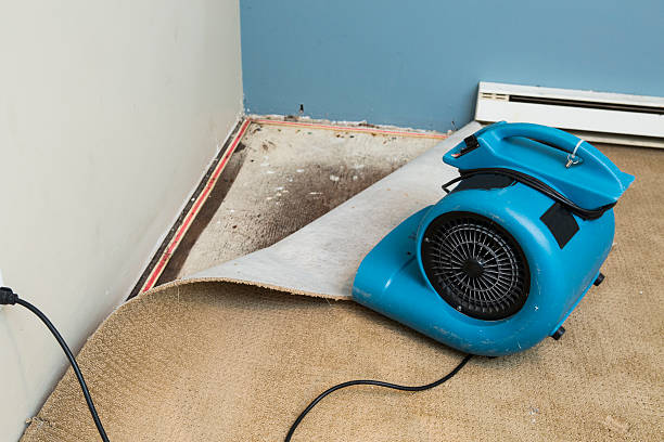 Best Emergency water damage restoration  in Christiansburg, VA